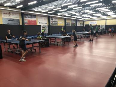 Federaal jeugdtornooi Stekene Federaal jeugdtornooi Stekene